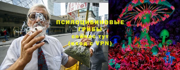 гидропоника Белокуриха