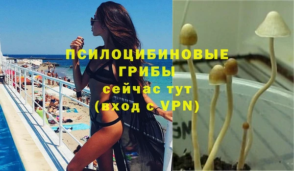 spice Беломорск