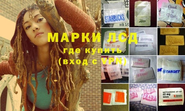 гидропоника Белокуриха
