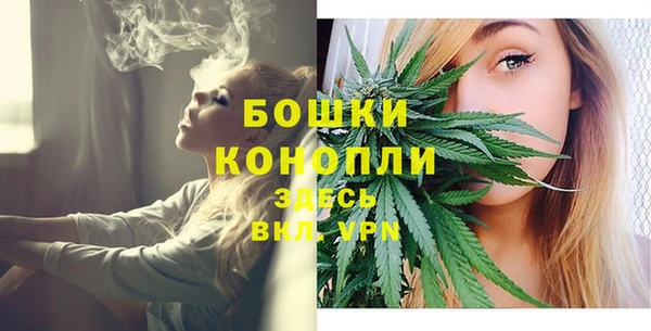 гидропоника Белокуриха