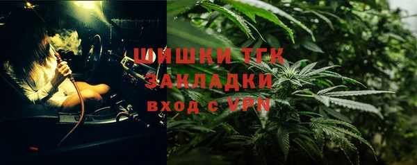 гидропоника Белокуриха