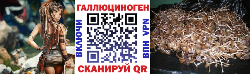 Галлюциногенные грибы MAGIC MUSHROOMS Няндома